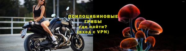 стафф Протвино