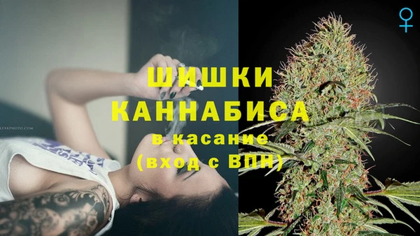 гидра Пролетарск